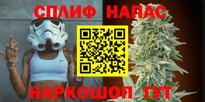 дмт Пенза
